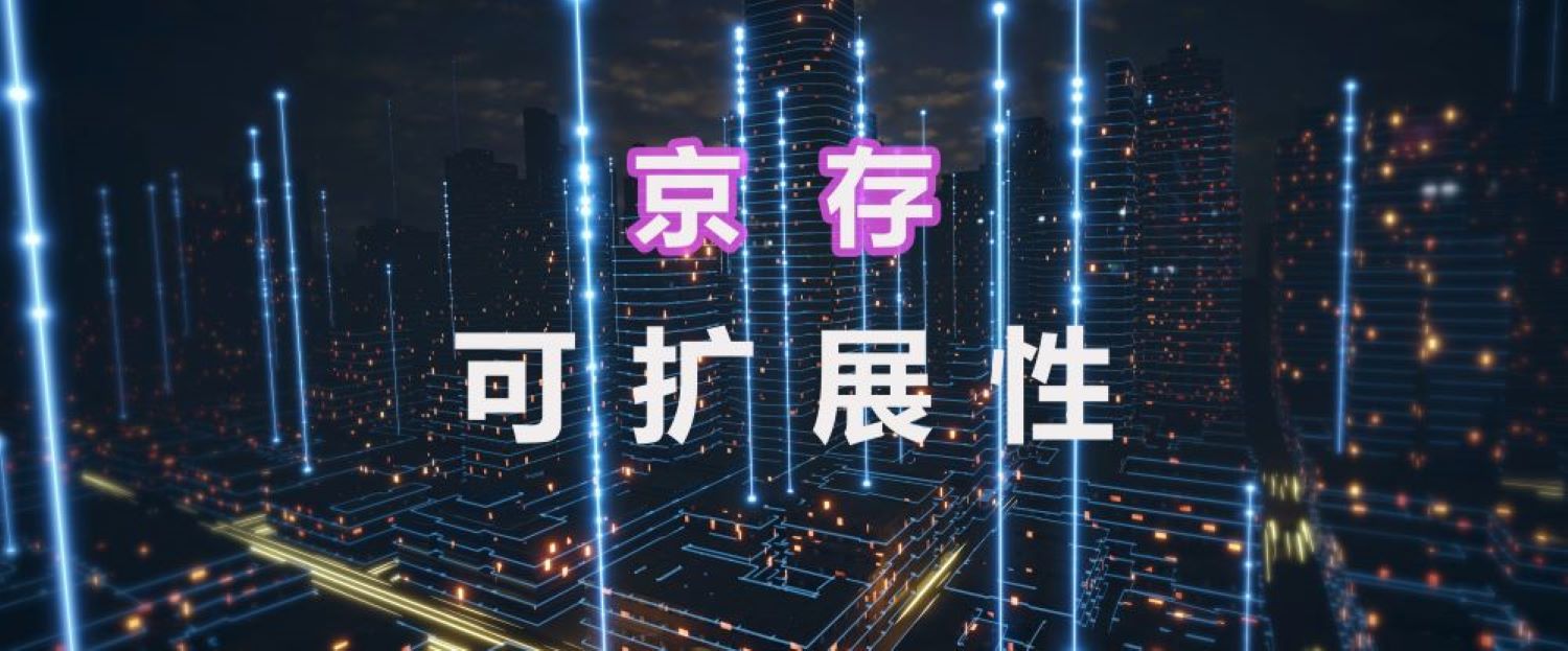 京存可扩展性